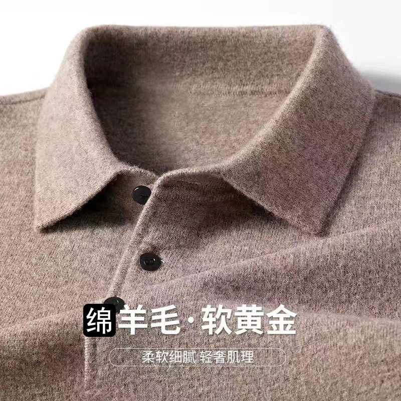 Male Polo Shirt Soft Lightweig - đánh giá và giá Winter Clothing Trends 2025