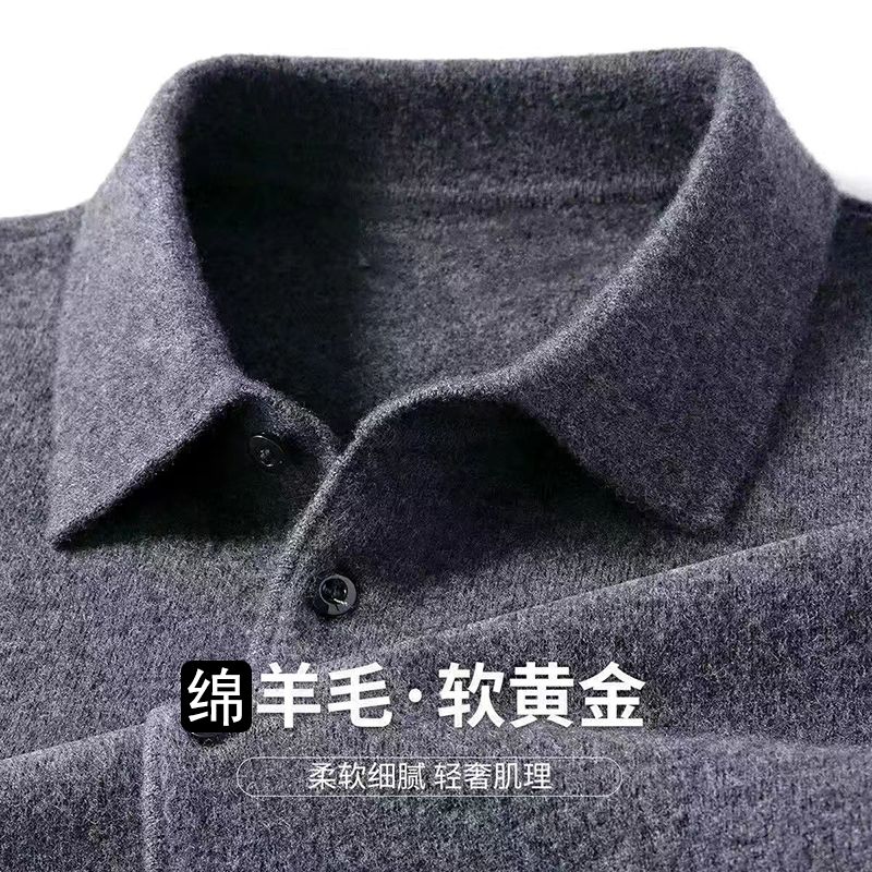 Male Polo Shirt Soft Lightweig - đánh giá và giá Winter Clothing Trends 2025