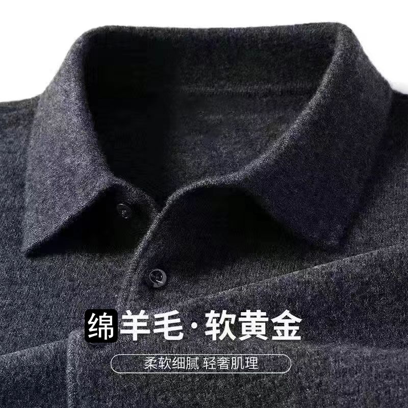 Male Polo Shirt Soft Lightweig - đánh giá và giá Winter Clothing Trends 2025